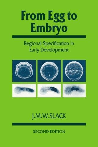 Cover of From egg to embryo by J. M. W. Slack