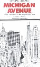 Cover of Michigan Avenue by Judith Paine McBrien