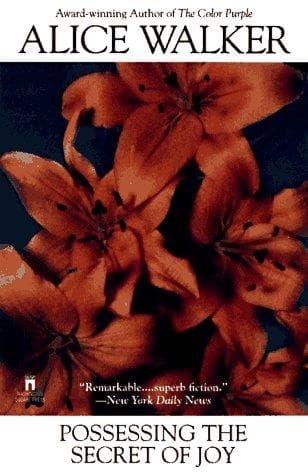 Cover of Possessing the Secret of Joy by Alice Walker