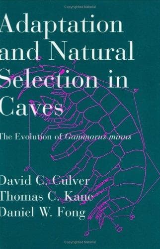 Cover of Adaptation and natural selection in caves by David C. Culver