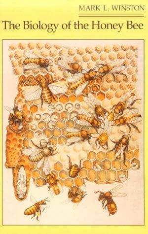 Cover of The biology of the honey bee by Mark L. Winston