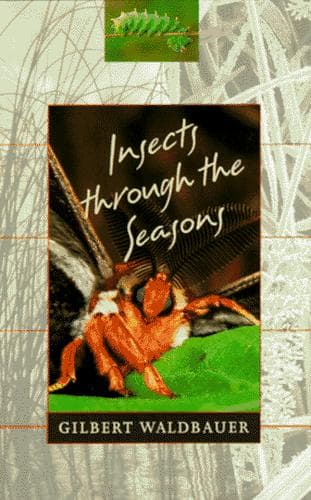 Cover of Insects through the seasons by Gilbert Waldbauer