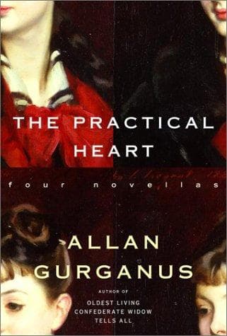 Cover of The practical heart by Allan Gurganus