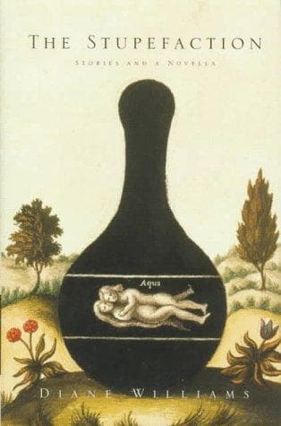 Cover of The Stupefaction by Diane Williams