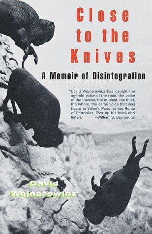 Cover of Close to the Knives by David Wojnarowicz