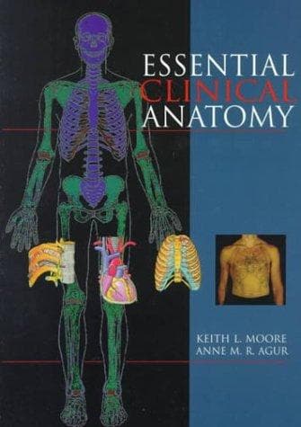 Cover of Essential clinical anatomy by Keith L. Moore