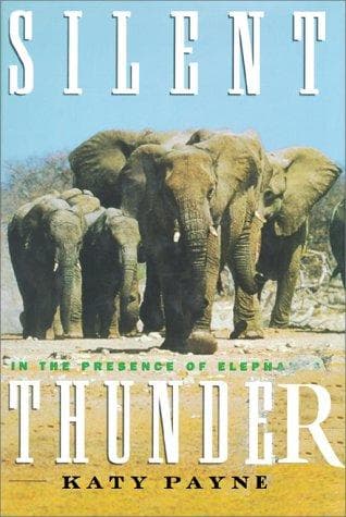 Cover of Silent thunder by Katharine Payne