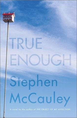 Cover of True enough by Stephen McCauley
