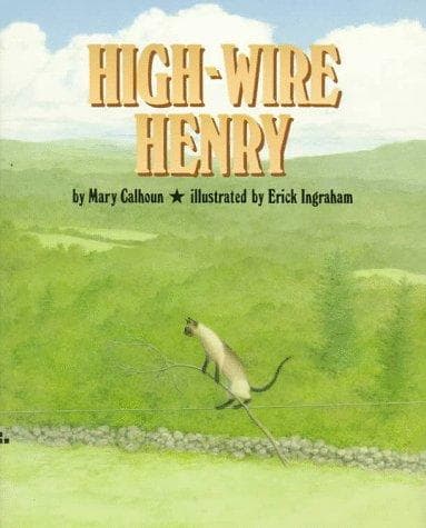 Cover of High-wire Henry by Mary Calhoun