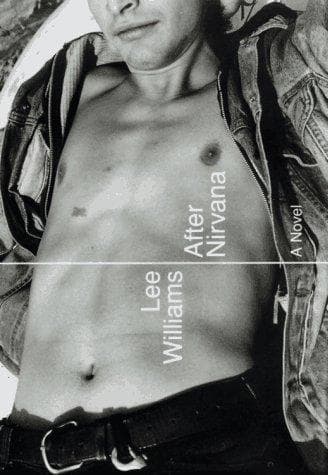 Cover of After nirvana by Lee Williams