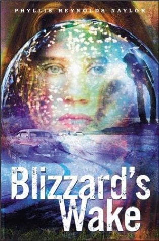 Cover of Blizzard's wake by Phyllis Reynolds Naylor