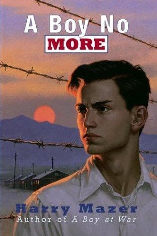 Cover of A boy no more by Harry Mazer