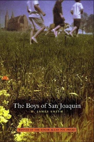 Cover of The boys of San Joaquin by D. James Smith