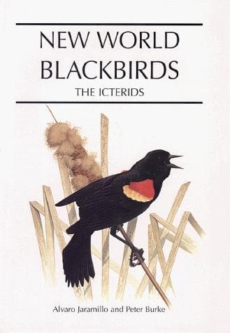 Cover of New world blackbirds by Alvaro Jaramillo