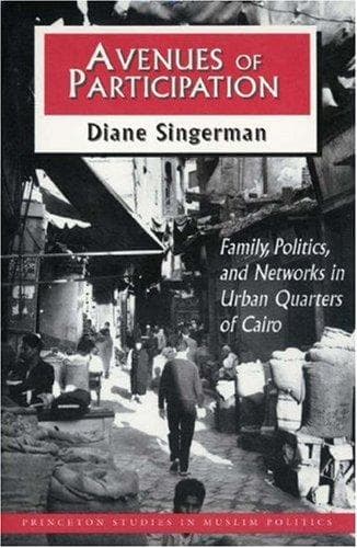 Cover of Avenues of participation by Diane Singerman