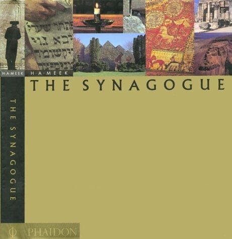 Cover of The synagogue by H. A. Meek