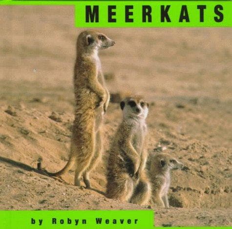 Cover of Meerkats by Robyn Conley