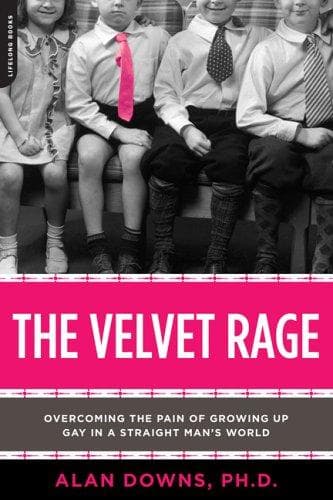 Cover of The velvet rage by Alan Downs