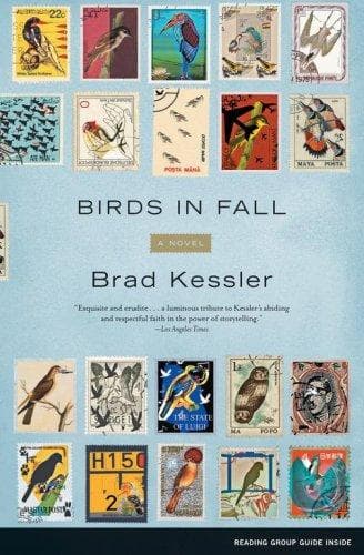 Cover of Birds in fall by Brad Kessler