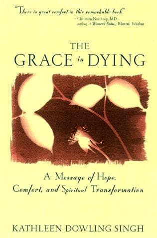 Cover of The grace in dying by Kathleen Dowling Singh
