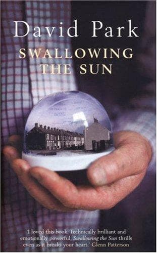 Cover of Swallowing the sun by David Park