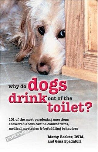 Cover of Why do dogs drink out of the toilet? by Marty Becker