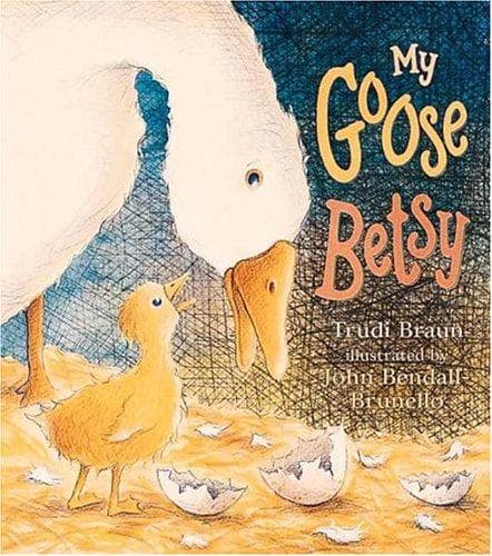 Cover of My Goose Betsy by Trudi Braun