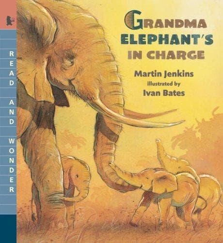 Cover of Grandma Elephant's in charge by Martin Jenkins