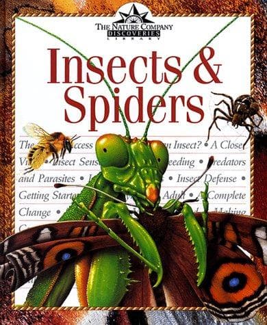 Cover of Insects & spiders by David Burnie