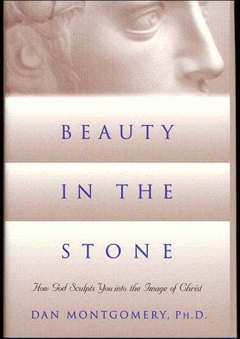 Cover of Beauty in the stone by Dan Montgomery