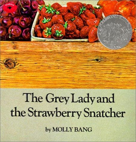 Cover of The grey lady and the strawberry snatcher by Molly Bang