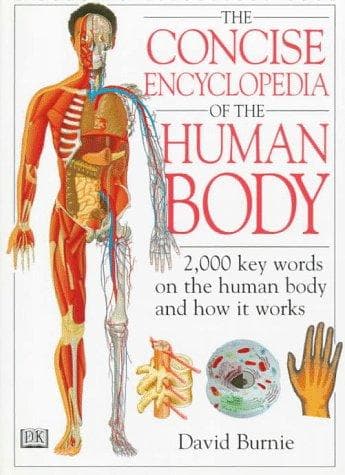 Cover of Concise Encyclopedia of the Human Body, the by David Burnie