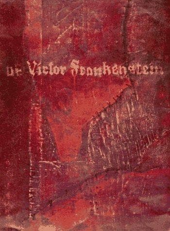 Cover of The diary of Victor Frankenstein by Stephen R. Cooper