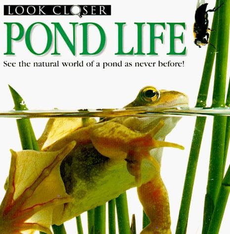 Cover of Pond Life (Look Closer) by Barbara Taylor