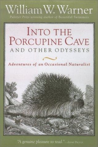 Cover of Into the porcupine cave and other odysseys by William W. Warner