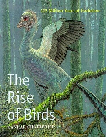Cover of The rise of birds by Sankar Chatterjee