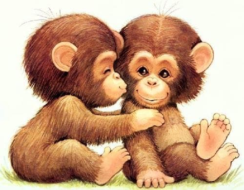 Cover of New world monkeys by Don Patton
