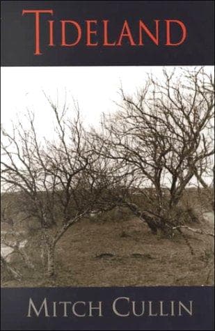 Cover of Tideland by Mitch Cullin