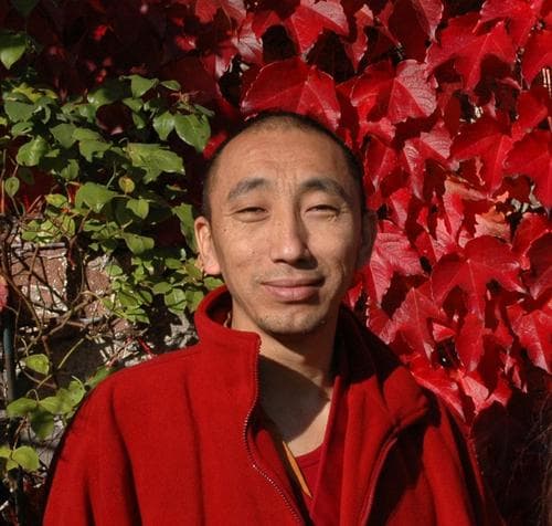 Cover of Chos mṅon blo gsal rab gsal by Gedun Tharchin Geshe