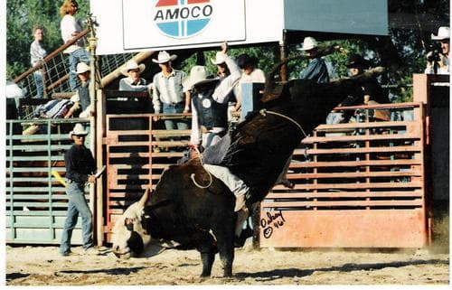 Cover of Bullrider by Rich L. Stoney