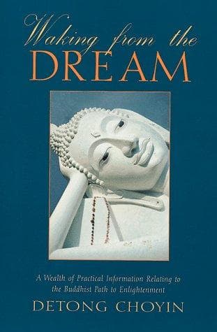 Cover of Waking from the dream by Detong ChoYin