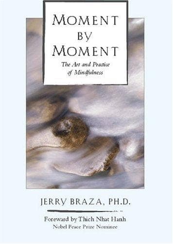 Cover of Moment by moment by Jerry Braza