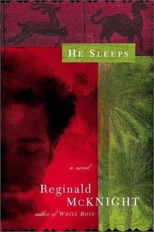 Cover of He sleeps by Reginald McKnight