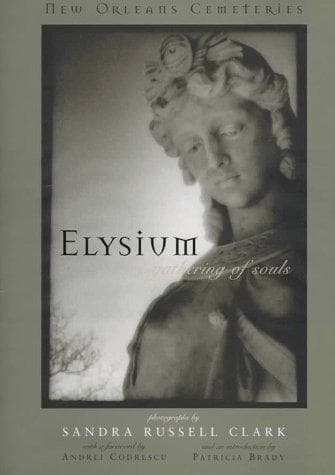 Cover of Elysium by Sandra Russell Clark