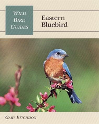 Cover of Eastern Bluebird (Wild Bird Guides) by Gary Ritchison