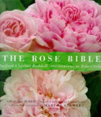 Cover of The rose bible by Rayford Clayton Reddell