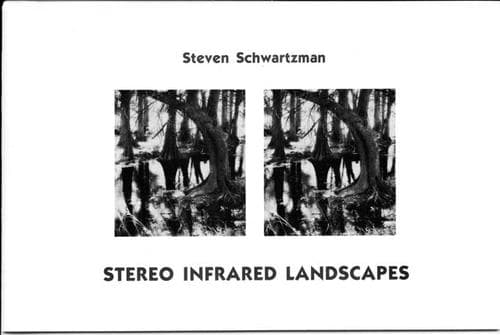 Cover of Stereo infrared landscapes by Steven Schwartzman