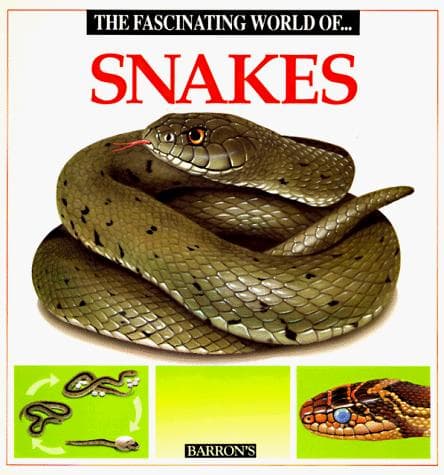 Cover of The fascinating world of snakes by Angels Julivert