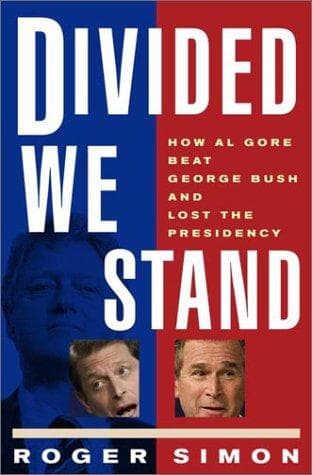 Cover of Divided we stand by Simon, Roger
