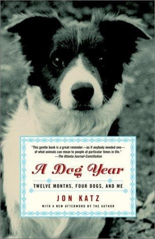 Cover of A Dog Year by Jon Katz
